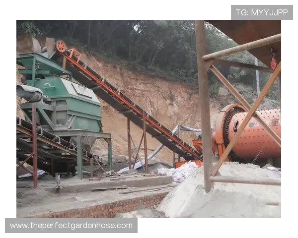 m88体育官网游戏种类丰富多样满足不同玩家的多样化需求分析