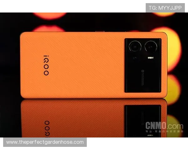 博鱼app登陆入口多平台支持，轻松实现手机电脑多设备同步登录