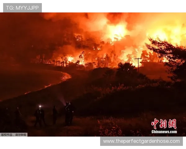 乐鱼开云体育赛事直播与回放功能详解让你不错过每一场精彩比赛瞬间