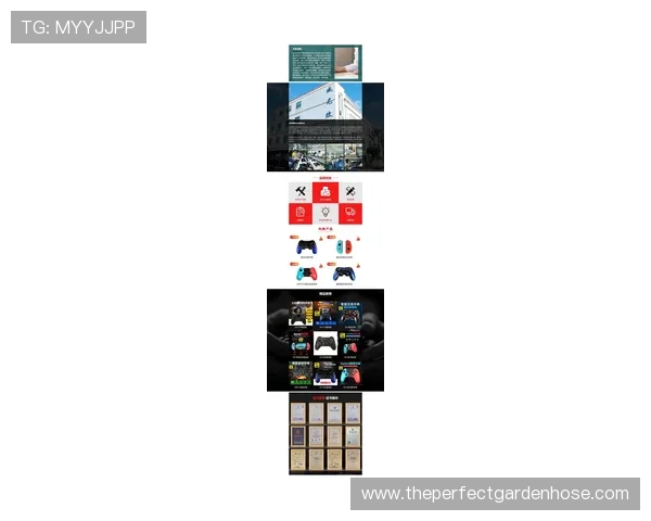 8868体育官网平台最新上线，全面保障玩家游戏体验与账户安全