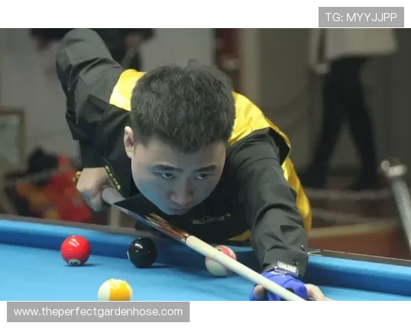 万象体育首页汇聚明星访谈和精彩赛事集锦丰富内容资源