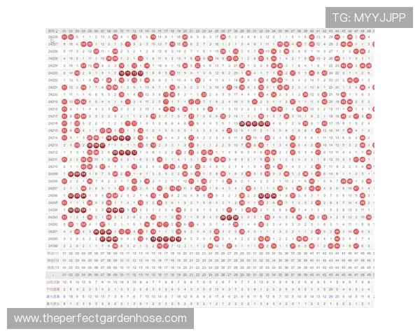 龙8体育新手入门指南帮助初次接触体育博彩的玩家快速上手