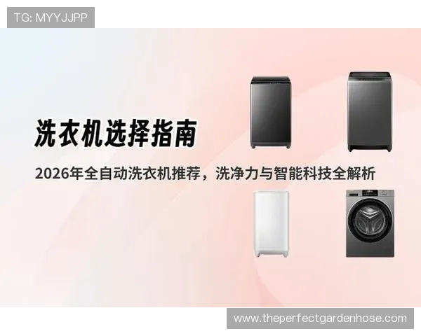 2026年最新购球网站排行榜全面解析不同平台的优势与用户评价