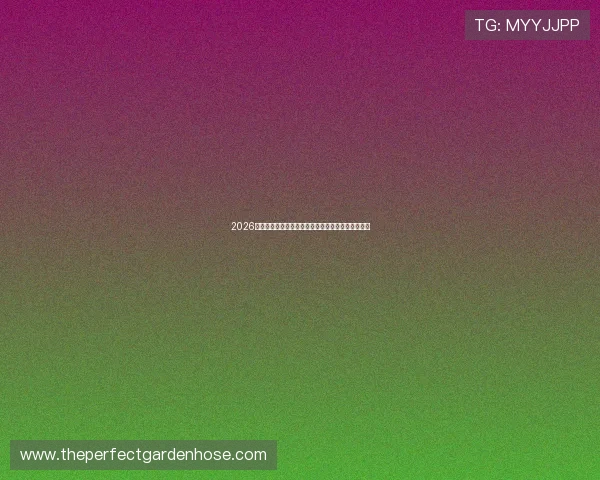 2026年世界杯比利时与伊朗比赛战术分析及赛场表现预测