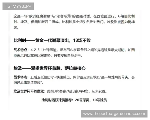 世界杯比利时对阵埃及比赛控球战术分析与精彩亮点解读